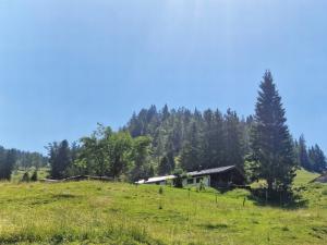 Aschah�tte Brandenberg Aschah�tte Bradenberg mieten